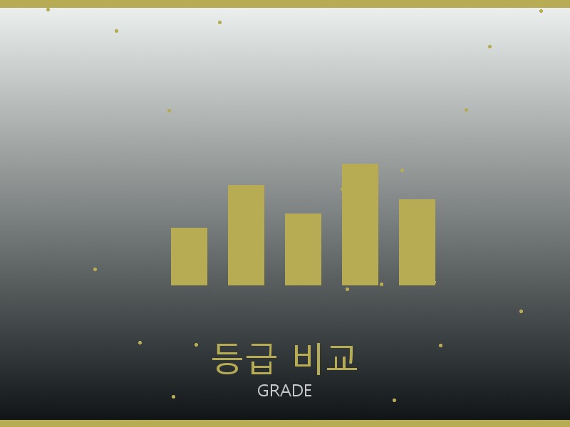 릭 오웬스 레플리카 사이트 등급 기준 비교